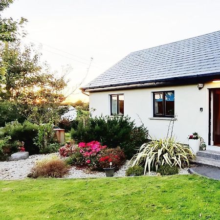 Butterfly Guesthouse - Entire Home Within 5Km Of Galway City Εξωτερικό φωτογραφία